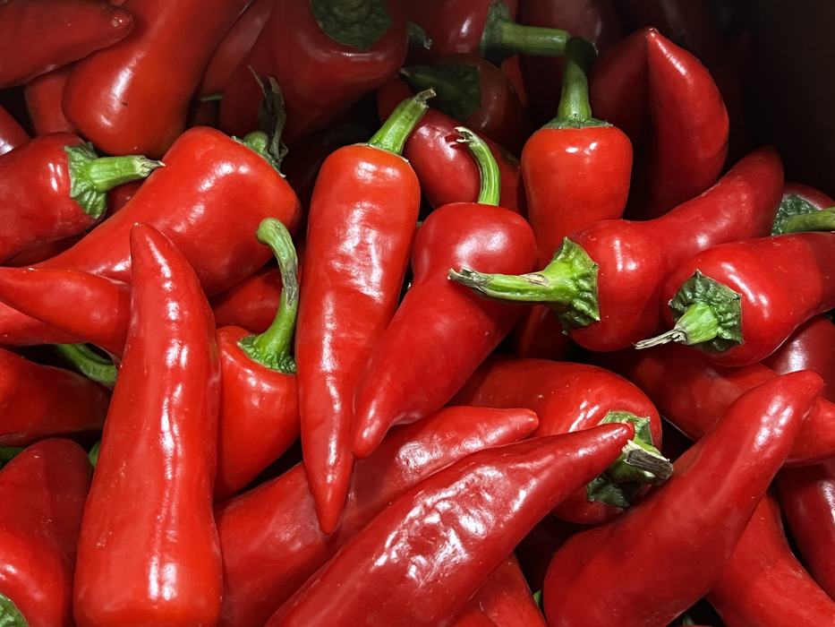 A pile of red peppers