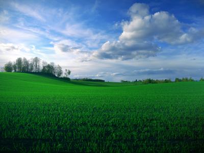 Picturesque Farmland