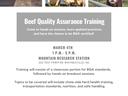 BQA Flyer 
