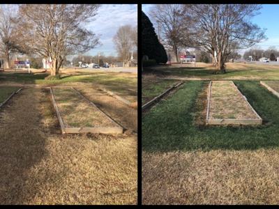 Side-by-side photos of empty wooden raised garden beds on lawn with trees and a road