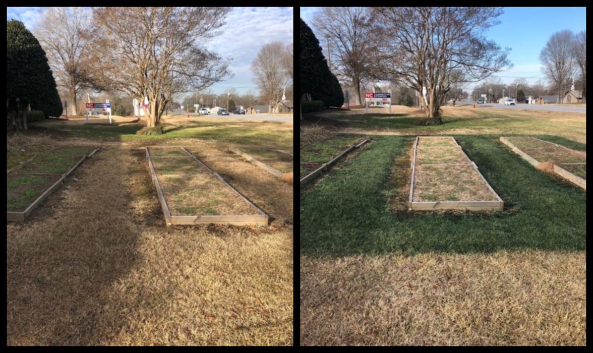 Side-by-side photos of empty wooden raised garden beds on lawn with trees and a road