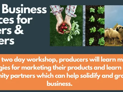 Better Business Practices for Farmers & Growers; hands holding radishes and a flock of sheep
