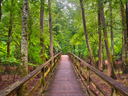 Congaree National Park