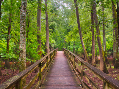 Congaree National Park
