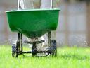 green wheel barrel on green lawn