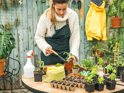 Gardening, Healthy, Heart Health, Palendrome Day, 2/22/22