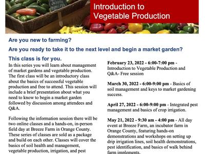 Introduction to vegetable production flyer