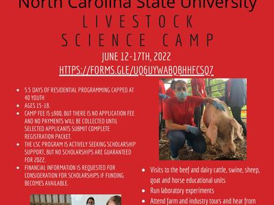 Summer Livestock Camp details with link to registration