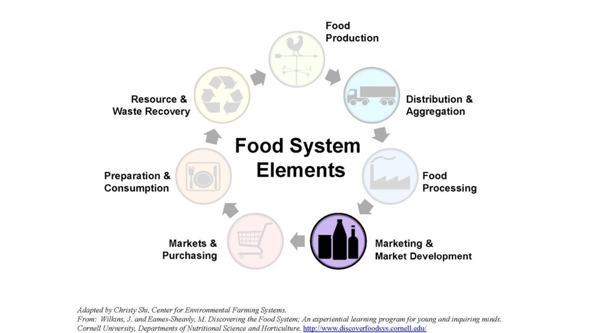 Food System Elements circle: Production; Distribution; Processing; Marketing; Purchasing; Preparation; Resource & Waste Recovery