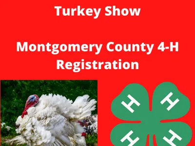 NCSU Youth Market Turkey Show; Montgomery County 4‑H Registration, turkey and 4‑H clover