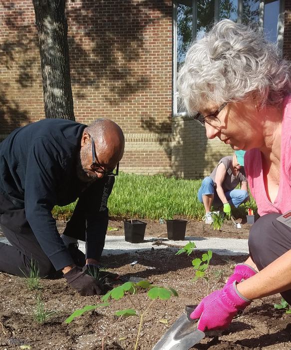 people working in a garden