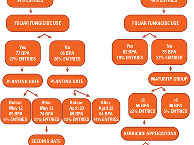 Yield contest tree: maturity (<4/>4), fungicide use, planting date, seeding rate, herbicide apps, BPA