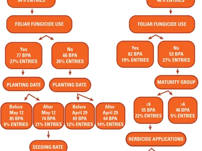 Yield contest tree: maturity (<4/>4), fungicide use, planting date, seeding rate, herbicide apps, BPA