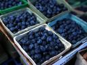 Pint containers filled with blueberries on display at a market stand