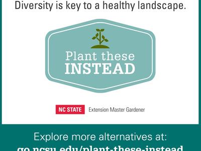 Plant These Instead logo