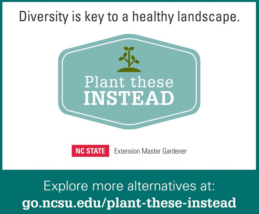 Plant These Instead logo