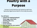 Join us online March 31 @ 6:30-8:00PM for "Poultry with a Purpose" — NC Cooperative Extension