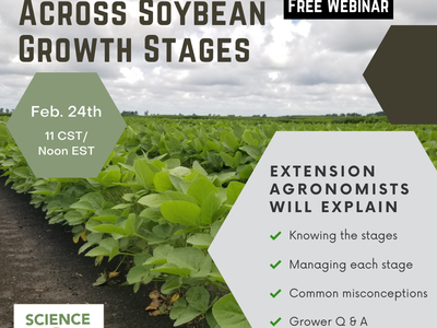 Soybean field with text: "Misconceptions Across Soybean Growth Stages"; Free Webinar Feb. 24, 11 CST/Noon EST