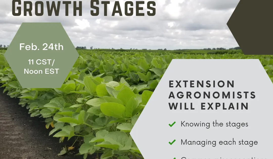 Webinar Recording: Misconceptions Across Soybean Growth Stages ...