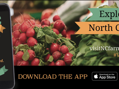 Phone displaying "Visit NC Farms" beside bunches of radishes and banner "Explore North Carolina"