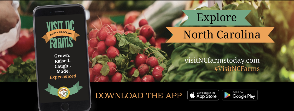 Phone displaying "Visit NC Farms" beside bunches of radishes and banner "Explore North Carolina"