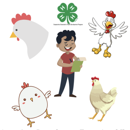 Person with clipboard amid chicken illustrations and 4‑H clover logo