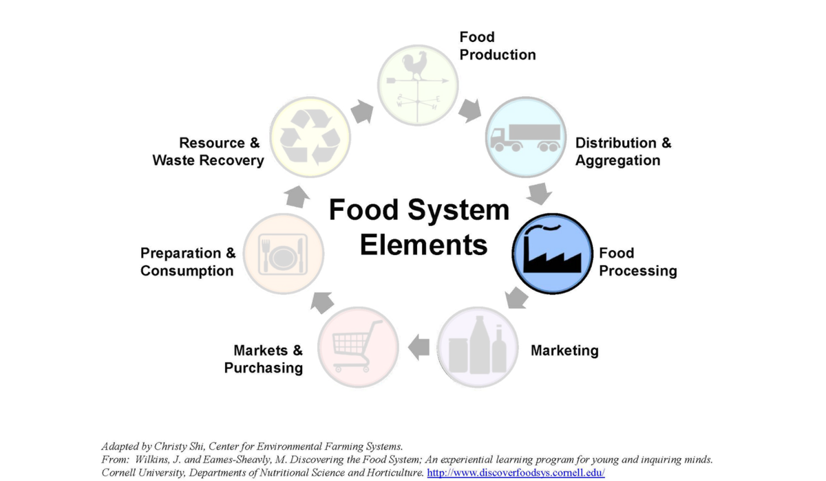 Processing - Local Food