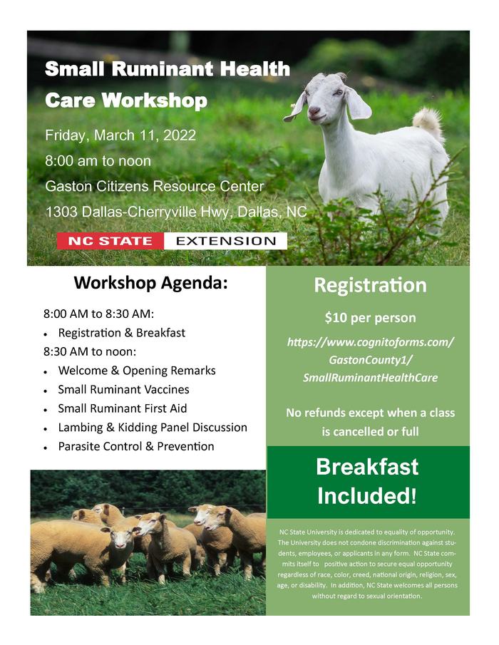 Small Ruminant Health Care Workshop — March 11, 2022, 8:00 am to noon; goat pictured