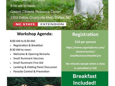 Small Ruminant Health Care Workshop — March 11, 2022, 8:00 am to noon; goat pictured