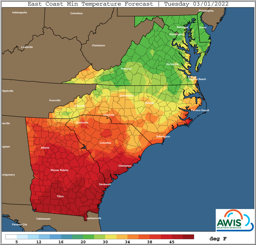 East Coast minimum temperature forecast map for Tuesday 03/01/2022 with color scale in deg F