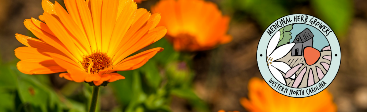 WNC Medicinal Herb Growers logo over a picture of calendula flowers