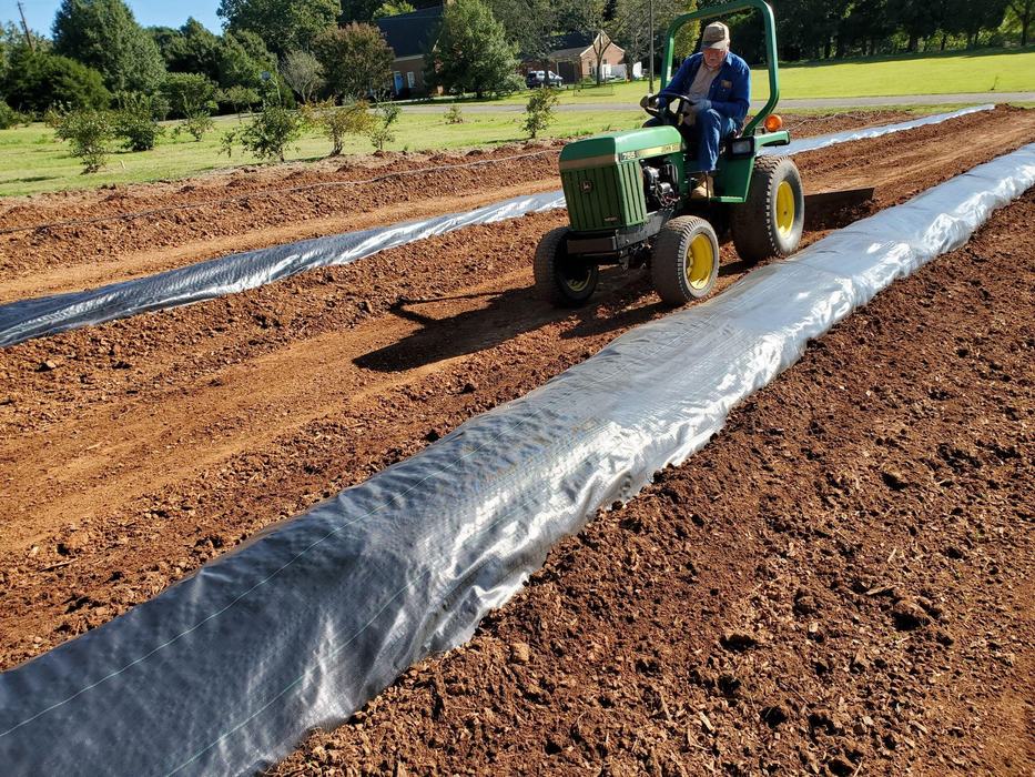 Man on green tractor driving beside long soil beds covered with black plastic landscape fabric