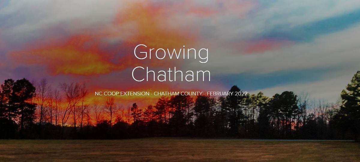 Sunset over field and treeline with text "Growing Chatham"