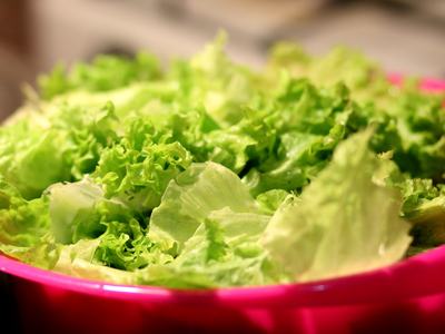 Fresh green lettuce leaves in a pink plastic bowl