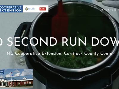 pic of greens in instapot , logos and words "30 second run down"