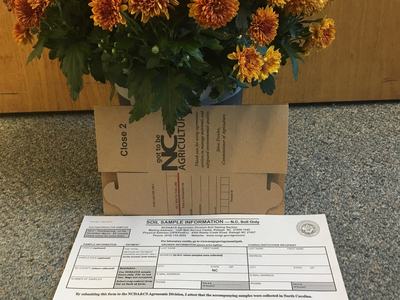 A Soil sample box and paperwork beside mums.