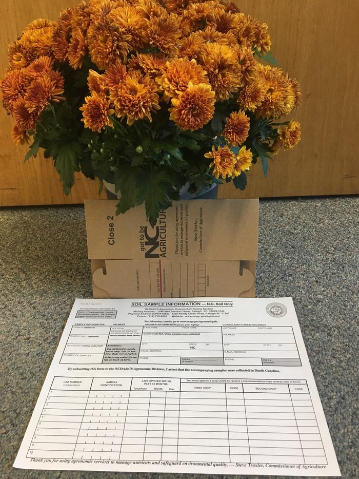 A Soil sample box and paperwork beside mums.