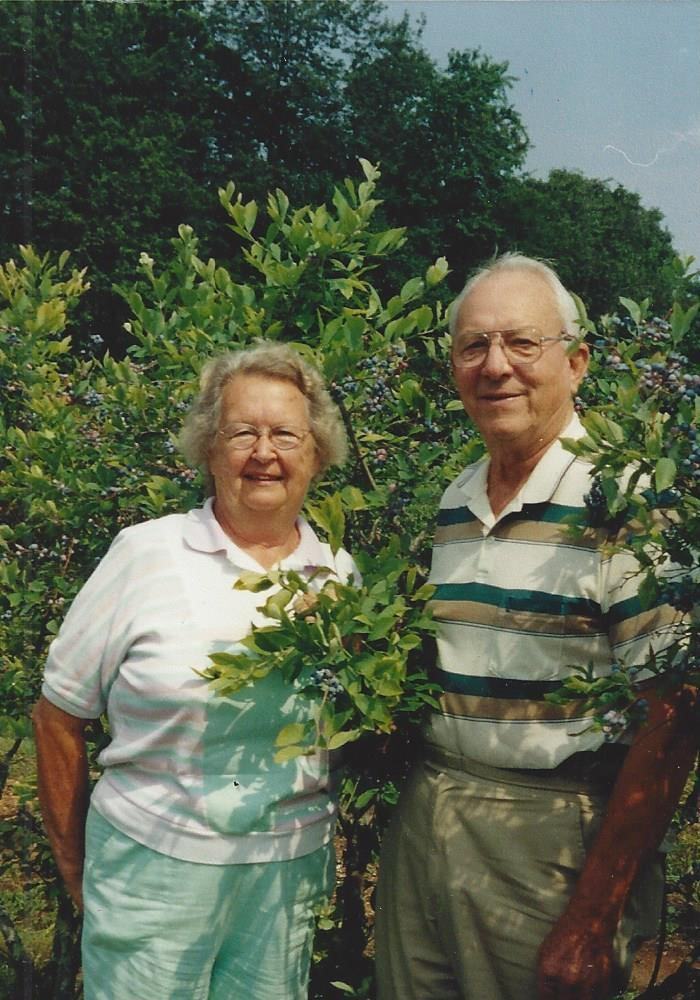 Older man and woman standing among blueberry bushes in a garden