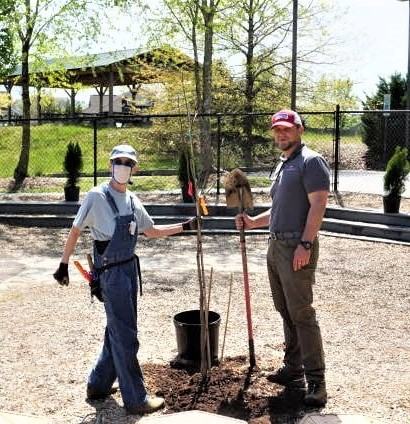 people planting trees