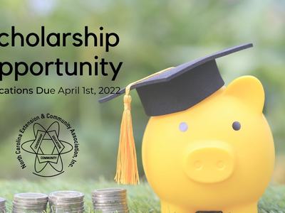 yellow piggy bank with grad cap on ad for scholarship