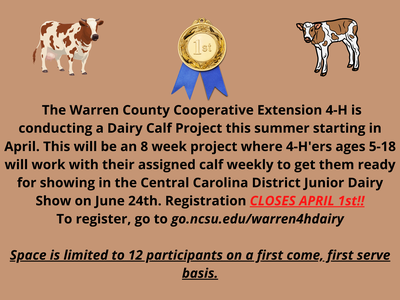 Dairy Calf Project flyer