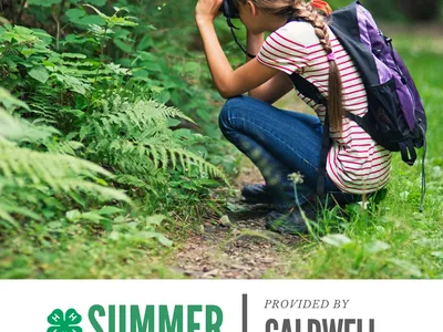 Front page of 2022 Summer Exploring catalog