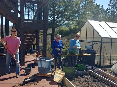 Potting up plants for the sale
