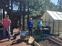 Potting up plants for the sale