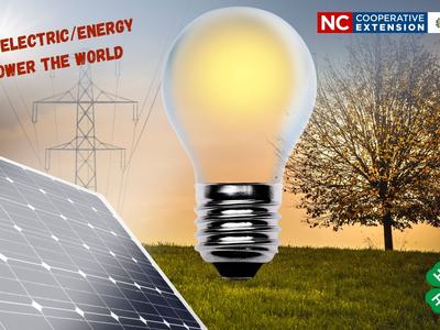 4-H Electric Energy