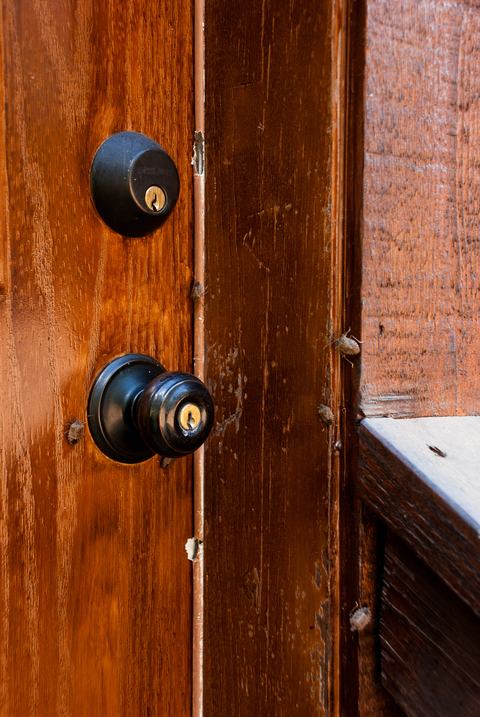 Closed outside door with BMSB trying to enter