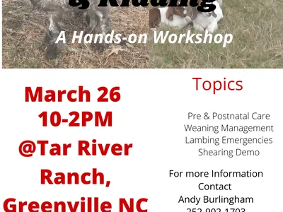 2022-03-Basics-of-Lambing-Kidding1.png