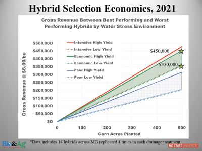 table showing gross revenue of corn planted