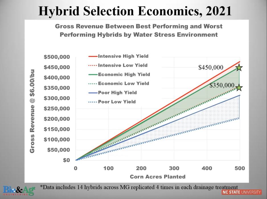 table showing gross revenue of corn planted