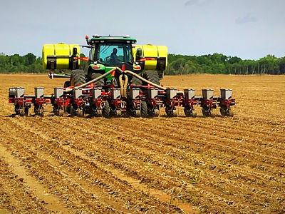 Corn Planting